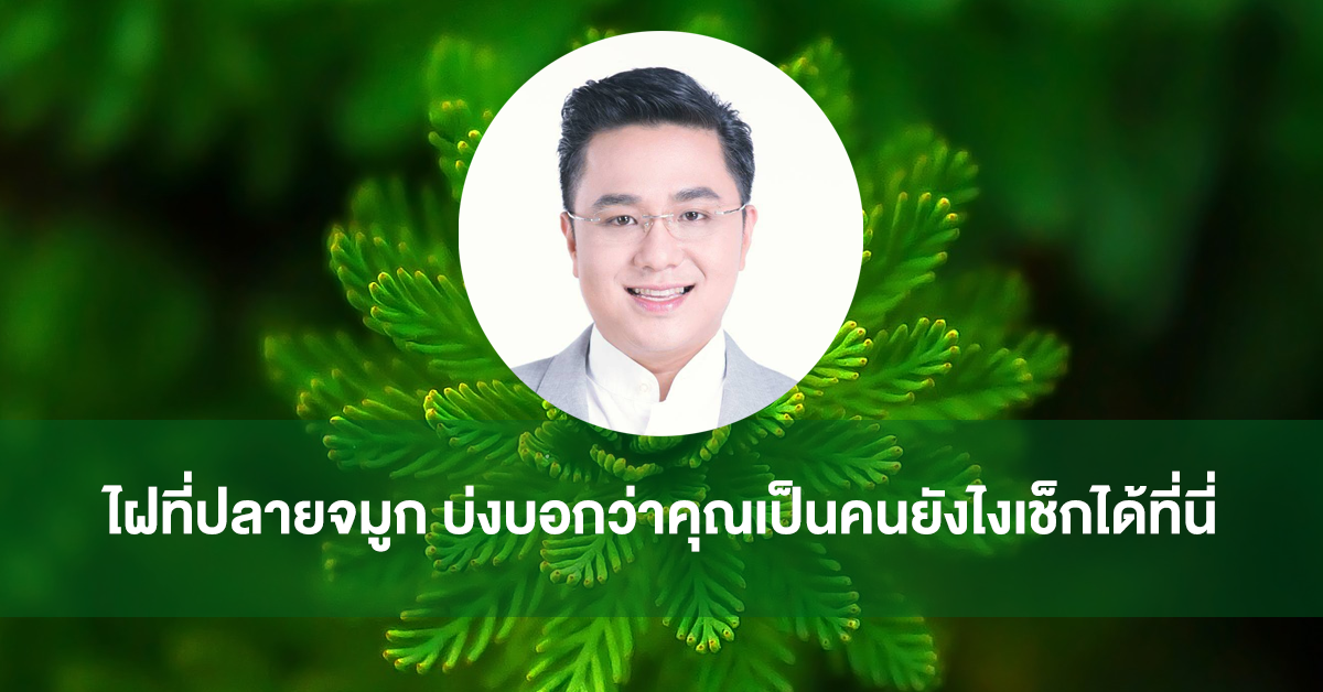 หมอช้าง