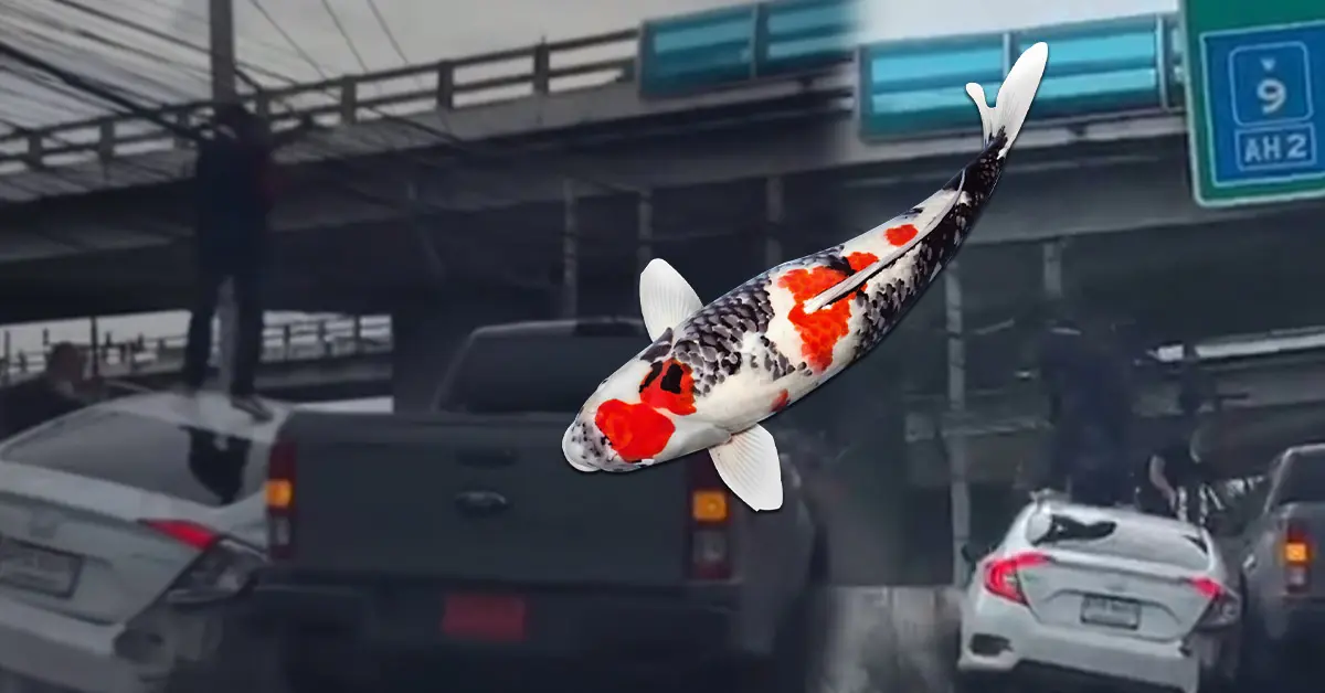 จบหักมุม! กระบะป้ายแดงโหดไล่ชนเก๋ง