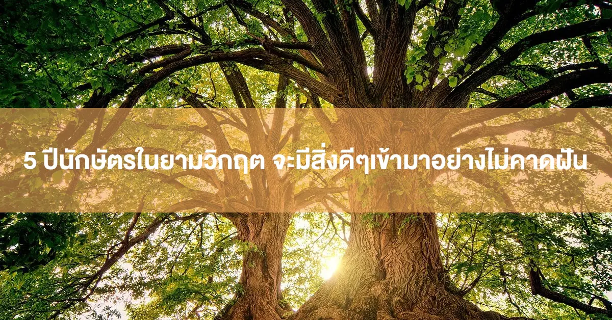 อาจารย์กิติคุณ