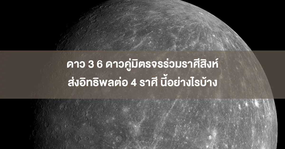 อ.ไวท์