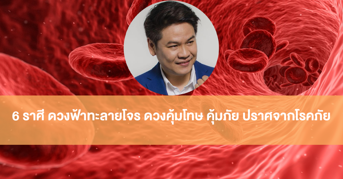 หมอบอย