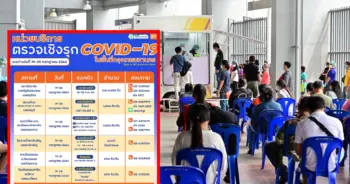 ตรวจโควิดฟรี ปก