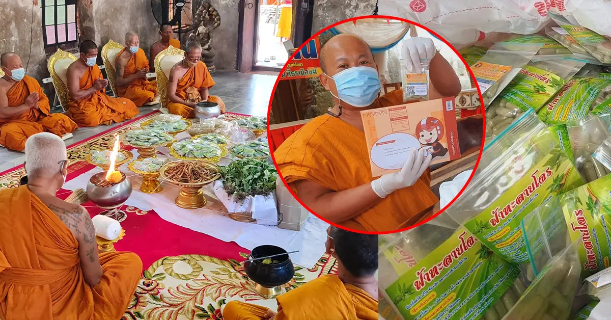 แจกฟรีฟ้าทะลายโจรปลุกเสก