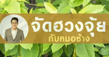 หมอช้าง