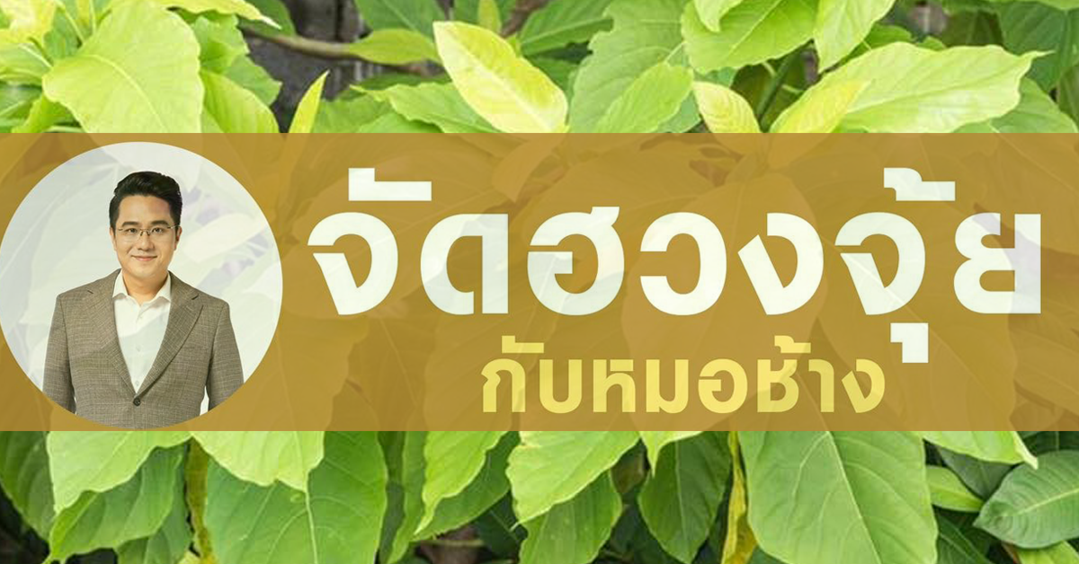 หมอช้าง