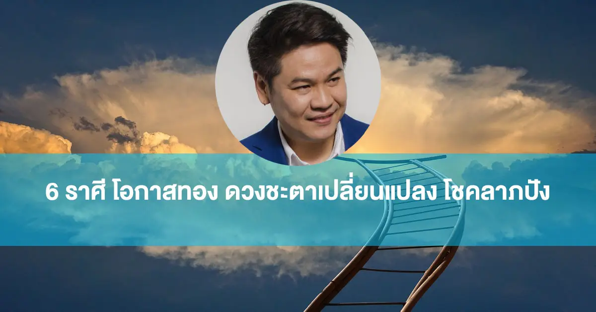 หมอบอย
