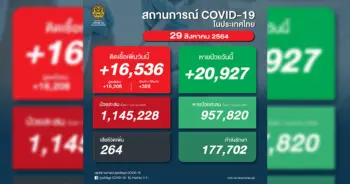 โควิด 29 สิงหาคม ปก