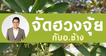 หมอช้าง