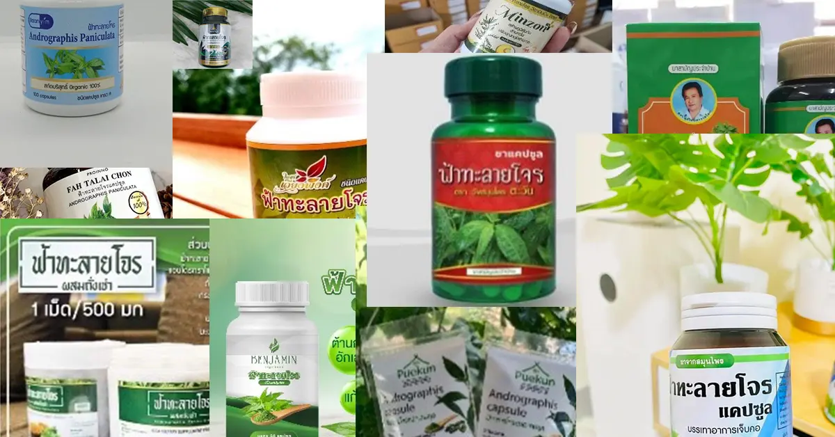 ฟ้าทะลายโจรผิดกฎหมาย ปก