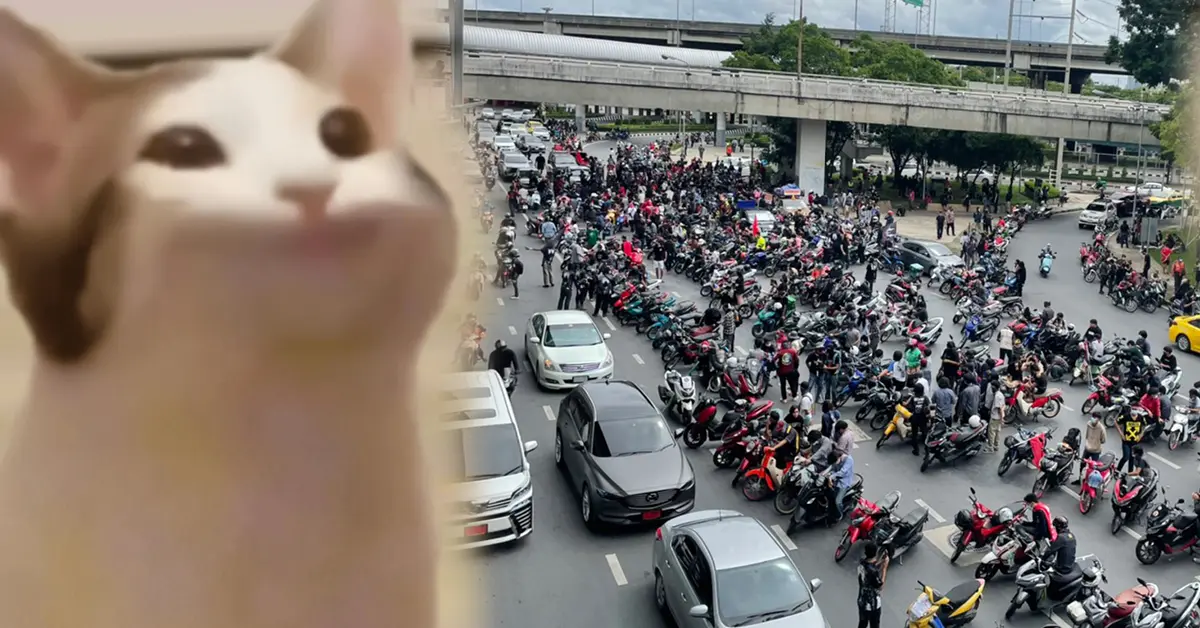 POPCAT ผู้สร้าง ปก