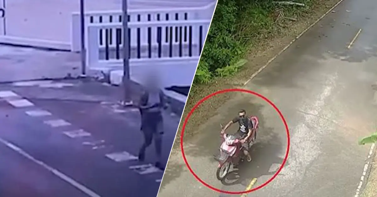 ฆาตกรรม แหม่มสวิส