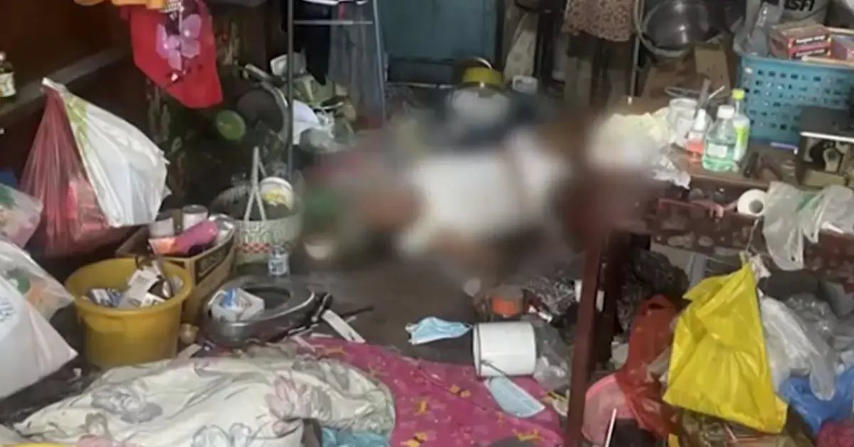 ยวัย 86 ติดโควิด ขาดข้าวขาดน้ำ 7 วัน - มีเหตุการณ์เกิดขึ้นในบ้านเช่า ในชุมชนซอยโจ๊ก ถนนเรียบคลองประปา เขตบางซื่อ ทีมข่าวเรื่องเล่าเช้านี้