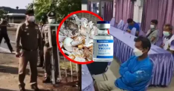 ไปเก็บเห็ดแต่ได้วัคซีน