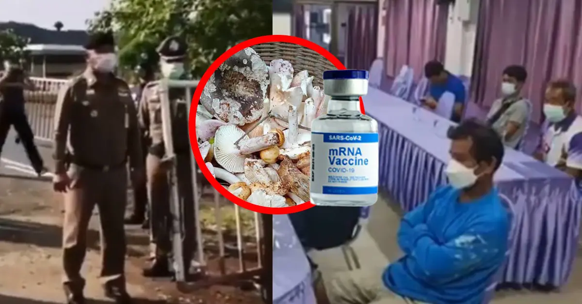 ไปเก็บเห็ดแต่ได้วัคซีน