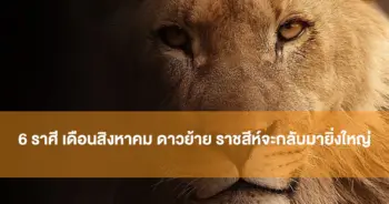 หมอบอย