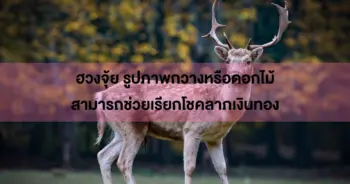 จุ้ย