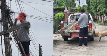 โนบรา ปก