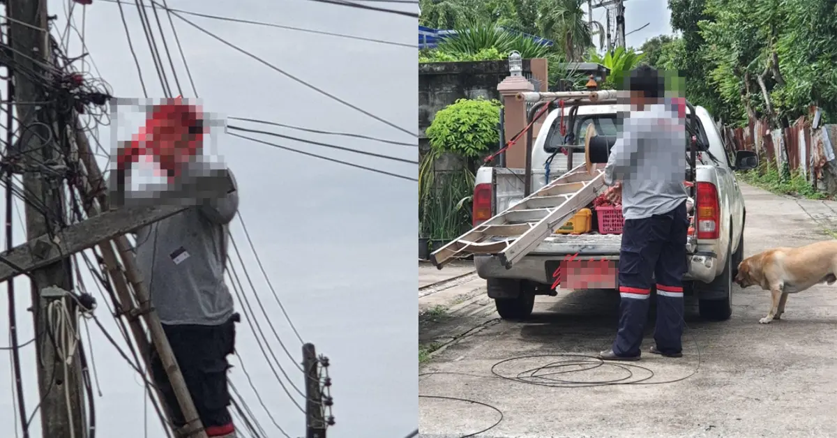 โนบรา ปก