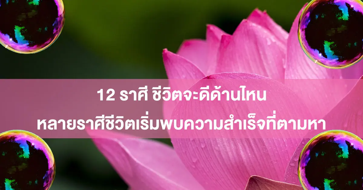 ไวท์ดวง