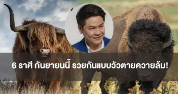 บอย