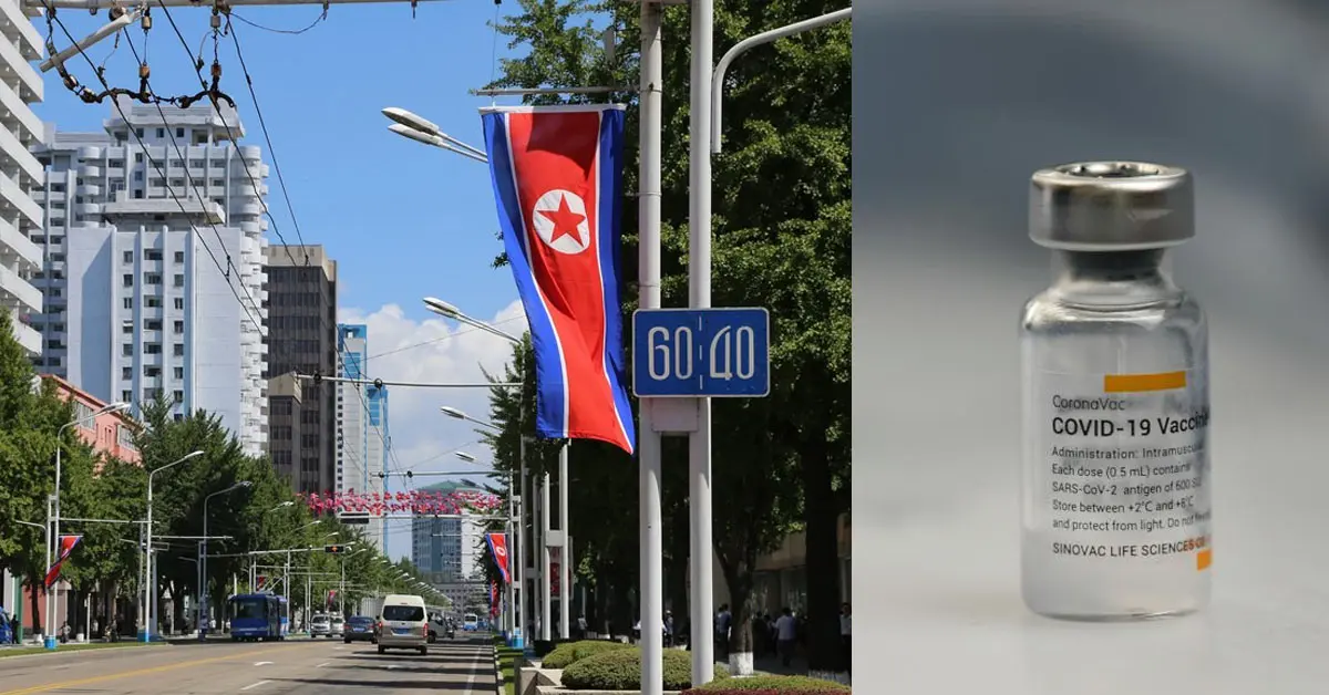 วัคซีนซิโนแวค