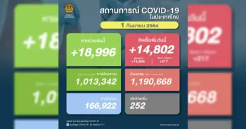 โควิด 19 ปก