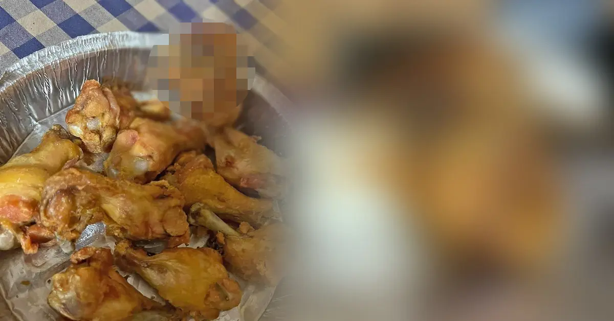 ปีกไก่ทอด ปก