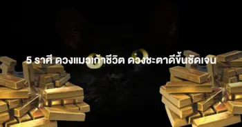 แมว