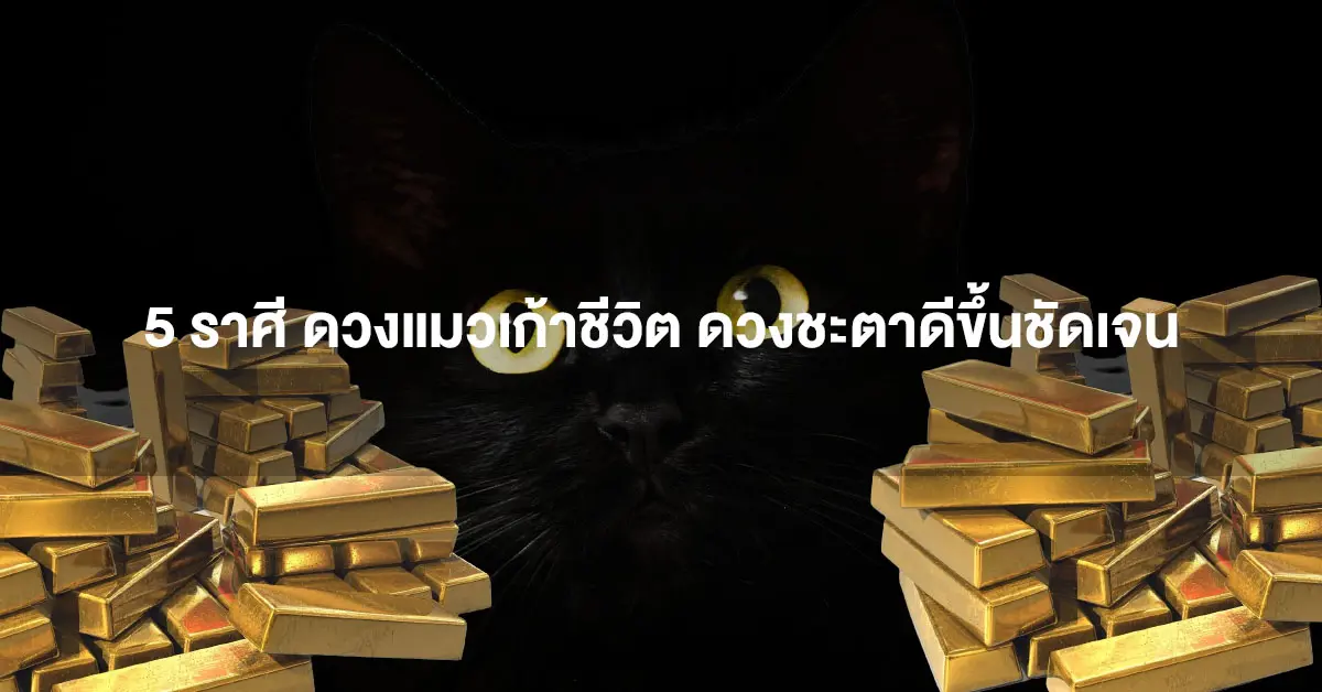 แมว