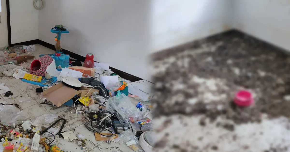 หอ ขี้หมา ปก