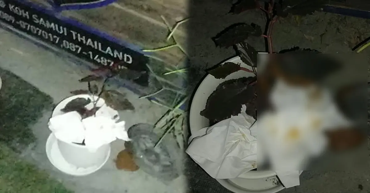 ขี้หน้าร้าน ปก