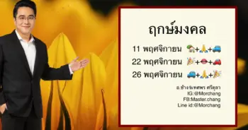 หมอช้าง