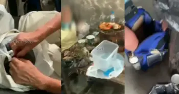 ยายขโมยอาหารบุฟเฟต์
