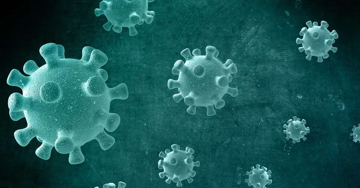 โอไมครอนสามราย ปก