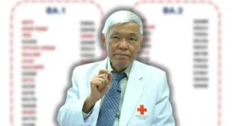 หมอยง สายพันธุ์ย่อย ปก