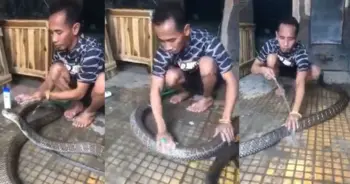 อาบน้ำงู