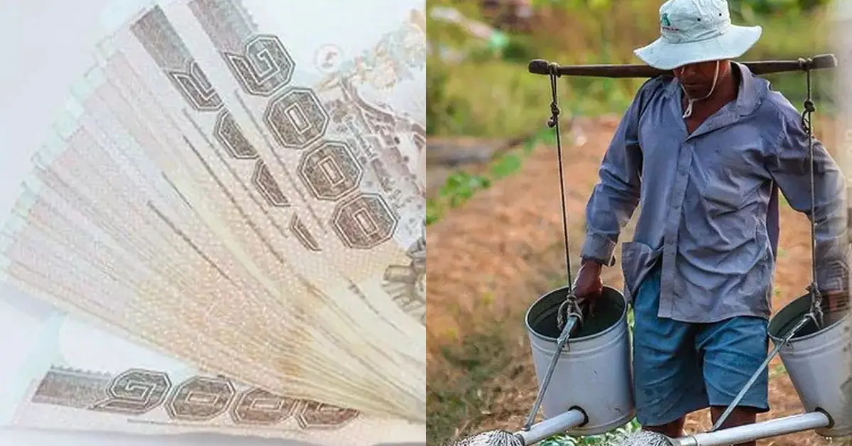 เงินประกันรายได้ข้าว