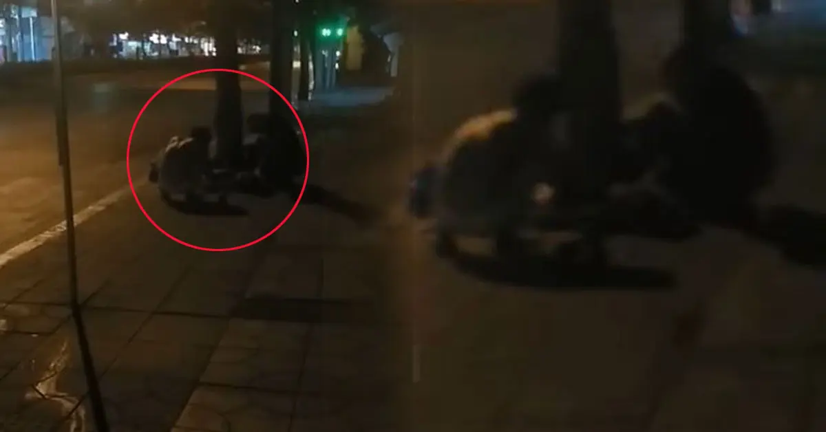 กินหมาข้างถนน