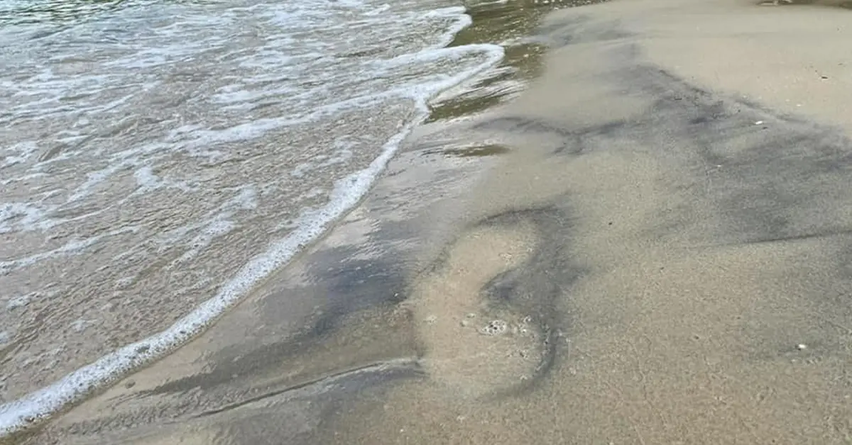 อ่าวพร้าว ปก