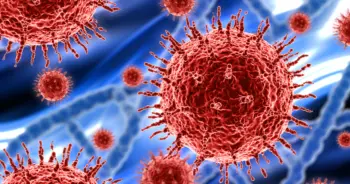 ไวรัสใหม่ ปก