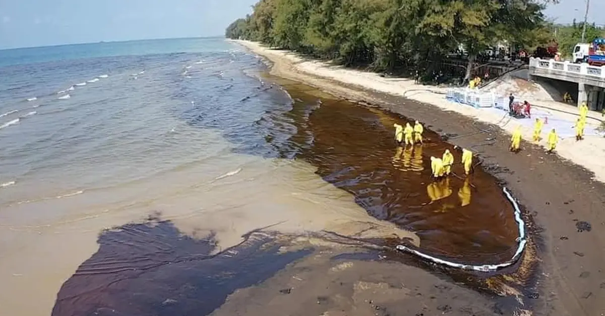 คราบน้ำมัน เสม็ด