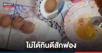 ไข่เน่า
