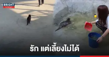 ตัวนาก