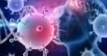 โอไมครอน ปก