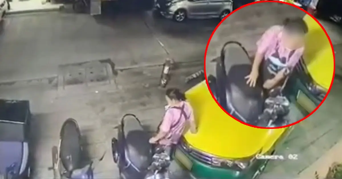 มนุษย์ป้า