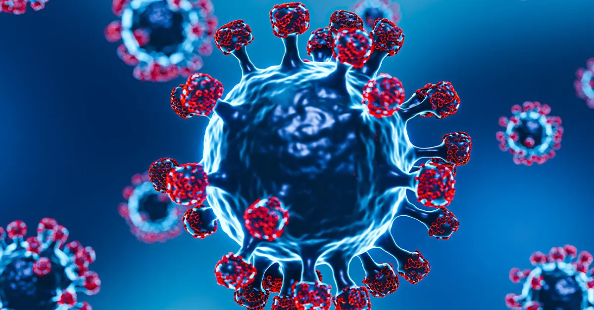 สงขลา ปก