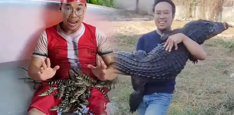 ราคาเนื้อจระเข้