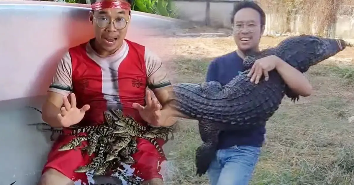 ราคาเนื้อจระเข้