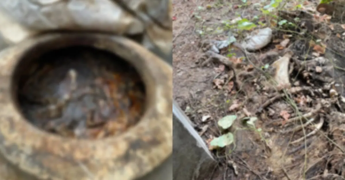 เจ้าของฟาร์มหมู