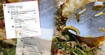 กะเพราหนอน